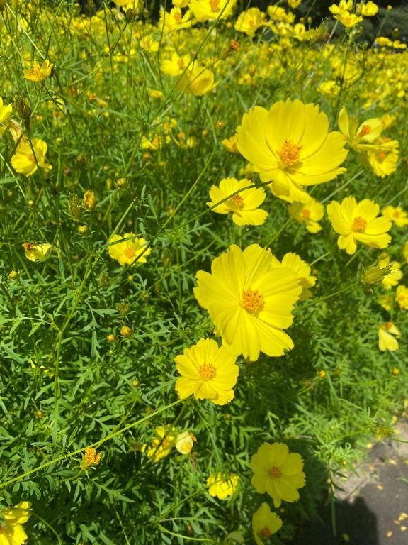 10月のエロマットはありなで♡