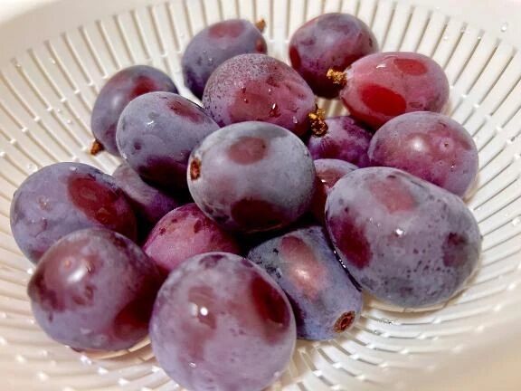 퐓퐡퐚퐧퐤 퐲퐨퐮 -