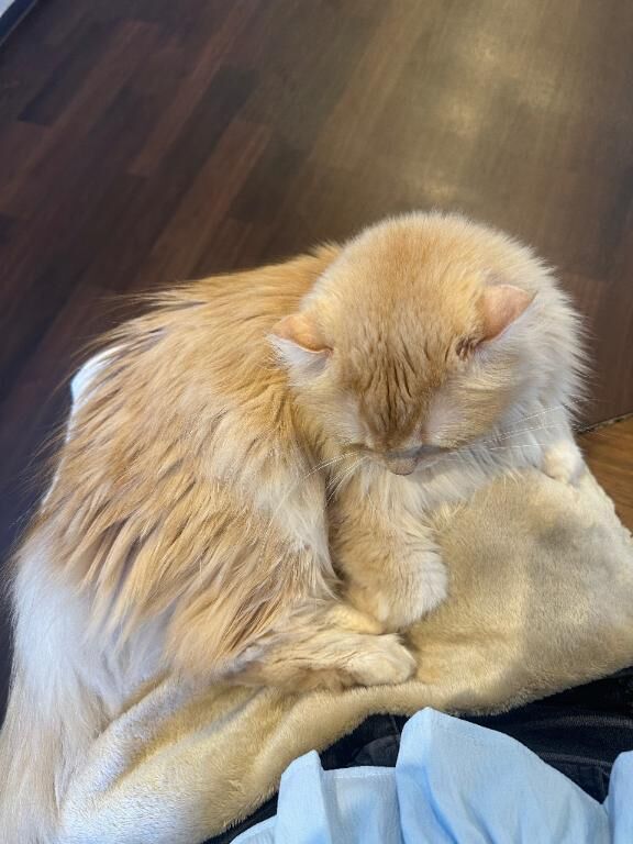 本日17時からです♡♡♡♀♡