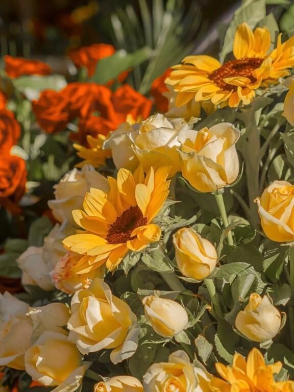 来週お昼出勤します&#128144;
