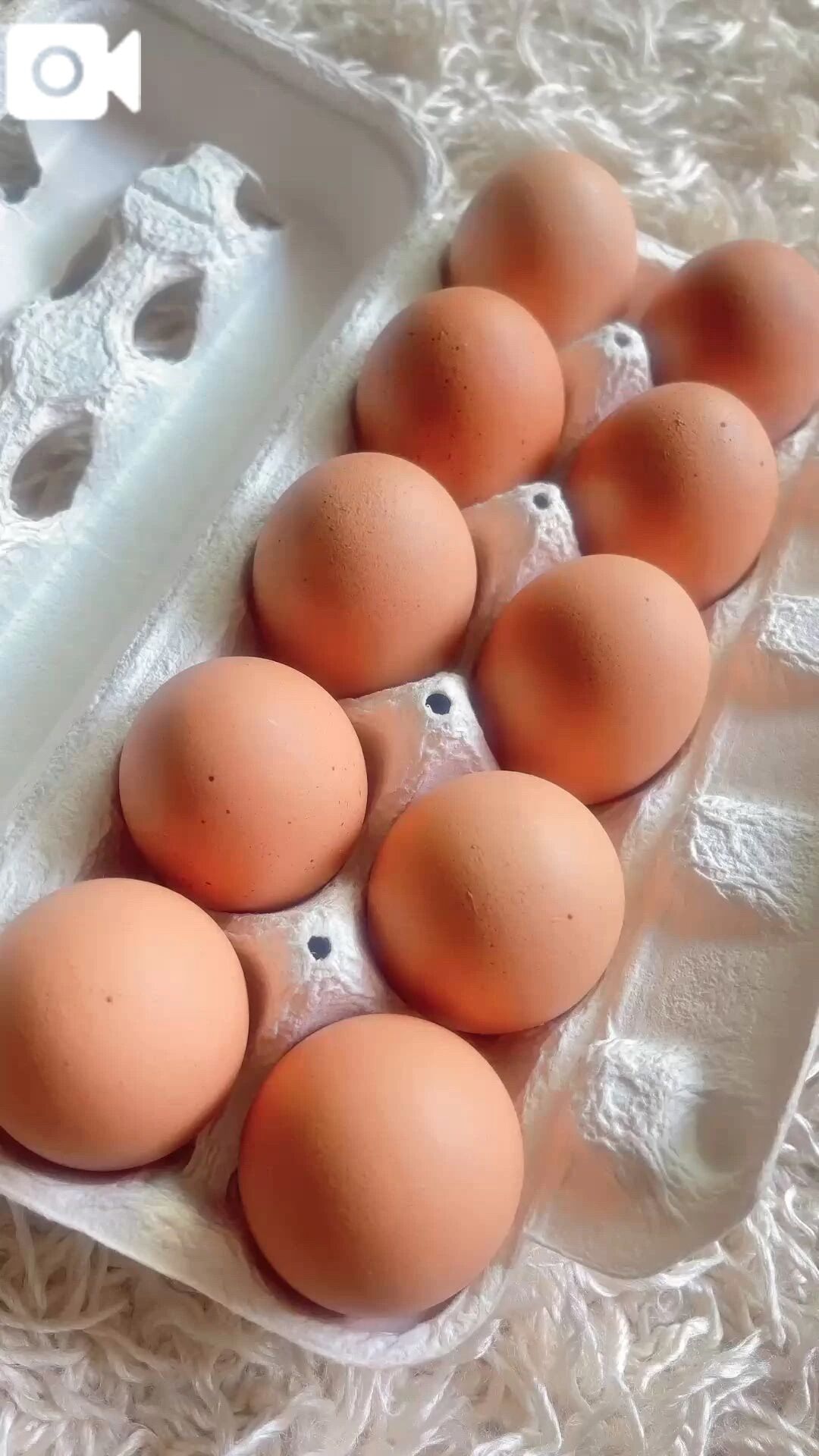 おいしいたまごちゃん&#127859; &#78354;&#77954;&#78840;