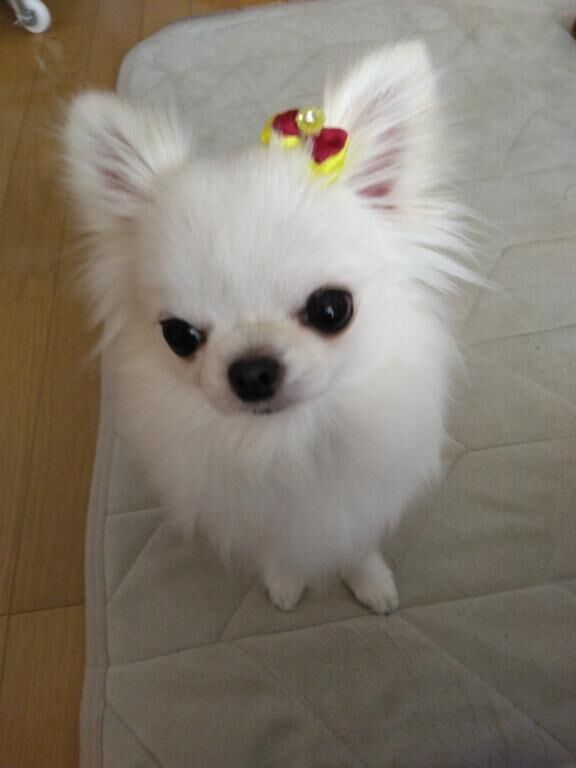 こんにちは