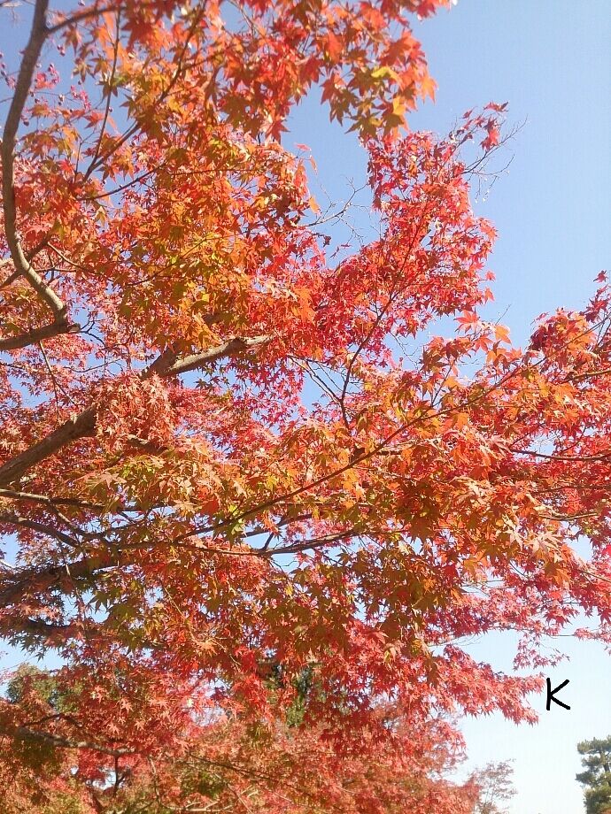 出勤完了です&#9825;