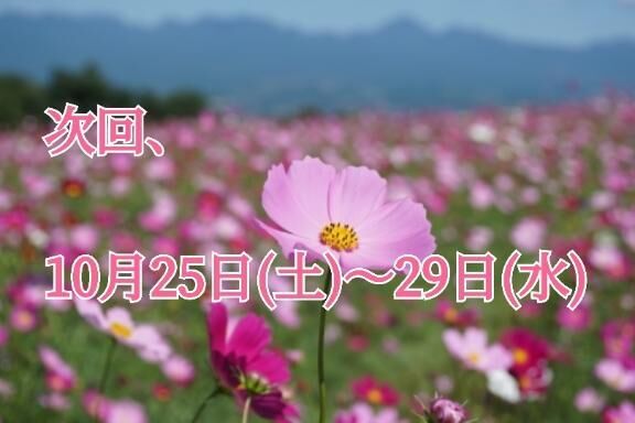 10月&#9825;&#9825;