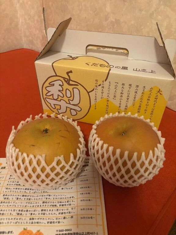 【10/1お礼日記】