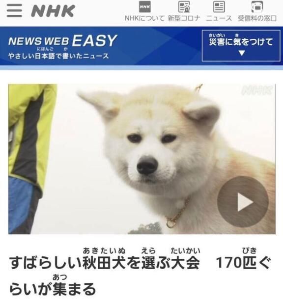長らく