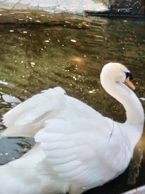 &zwj;ウィル５０５号室のお兄様&zwj;