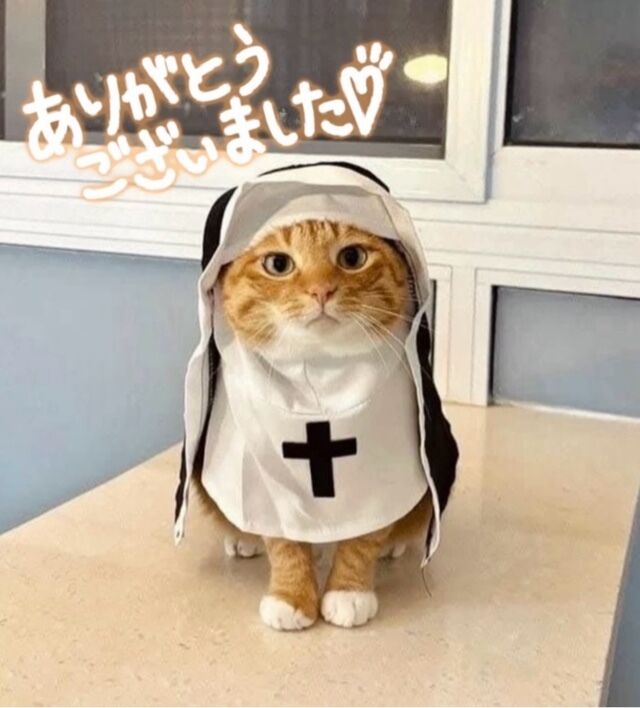 1日(水)の感謝です&#9825;&#9825;(&#9825;´&#9825;` )