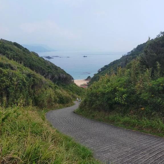 夏の思い出