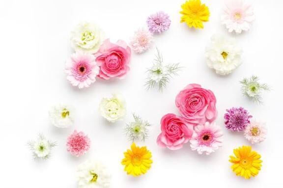 おはようございます&#9825;&#9825;出勤情報!!