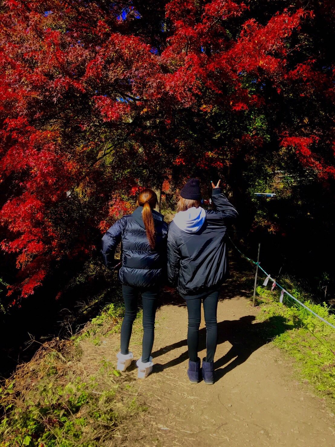 秋といえば&#127809;