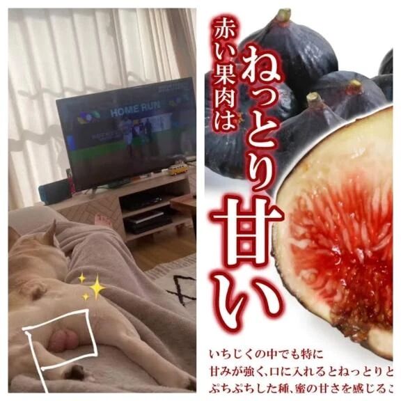 いちじくからの&#9825;