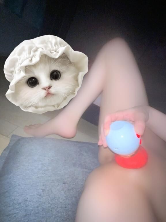 お礼9月30日18:30