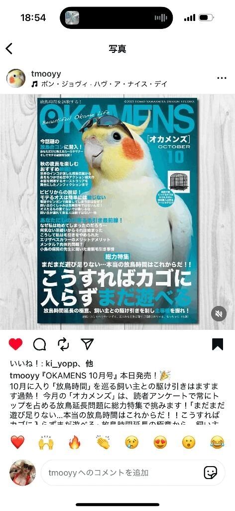 ハイヤーセルフ