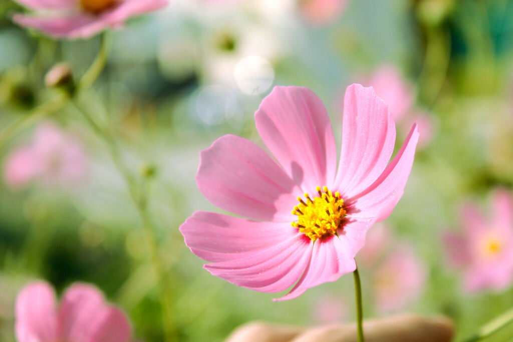 2日(木)　&#9825;様
