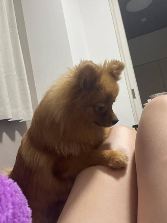 まうんてぃんぐ
