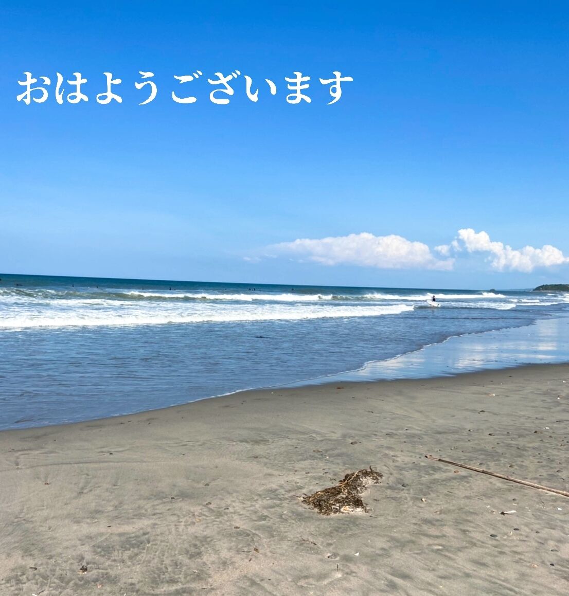 おはようございます♪