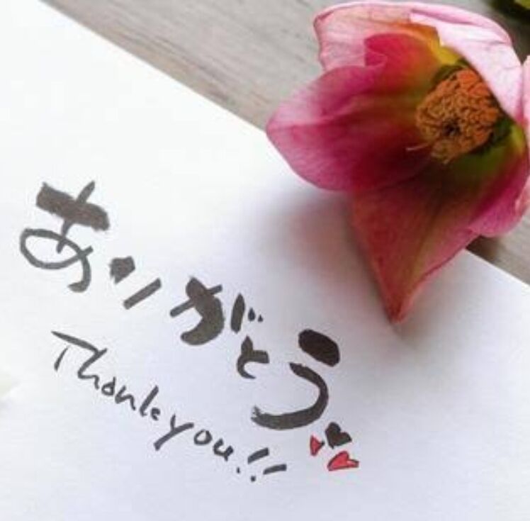 おはようございます