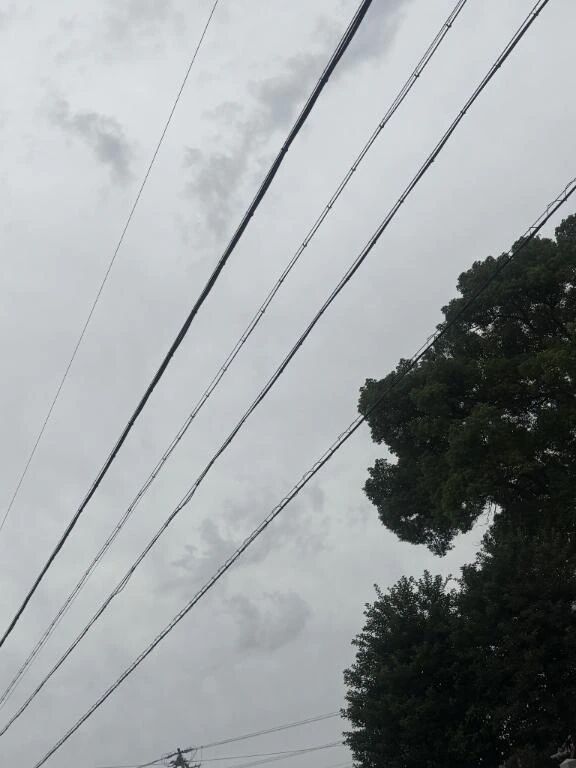 &#9729;&#65039;今日は曇りですね&#128557;