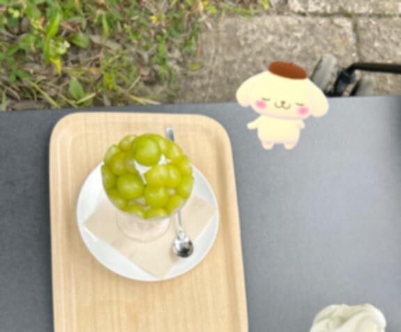 &#127816;たのしみっ&#127816;