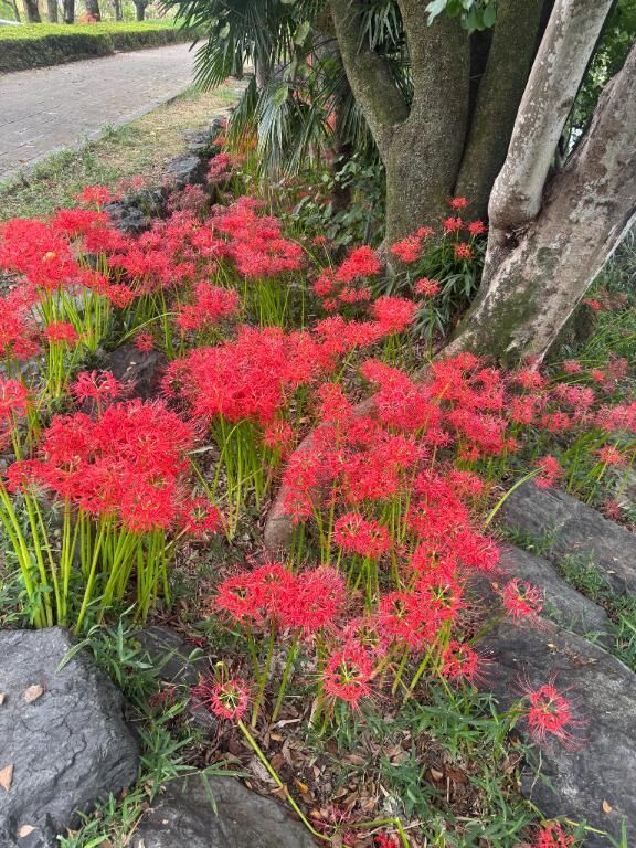 今朝