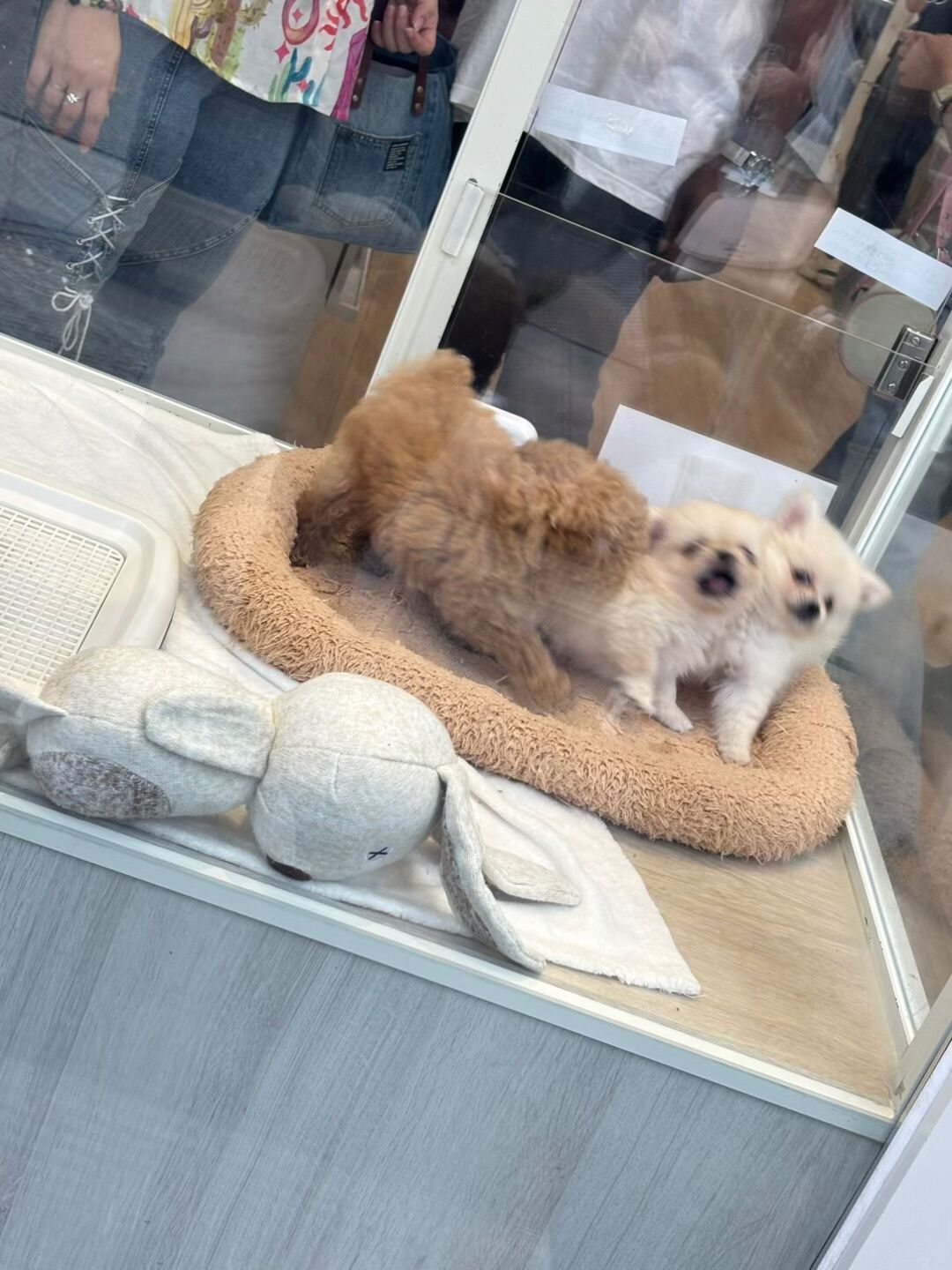 お昼