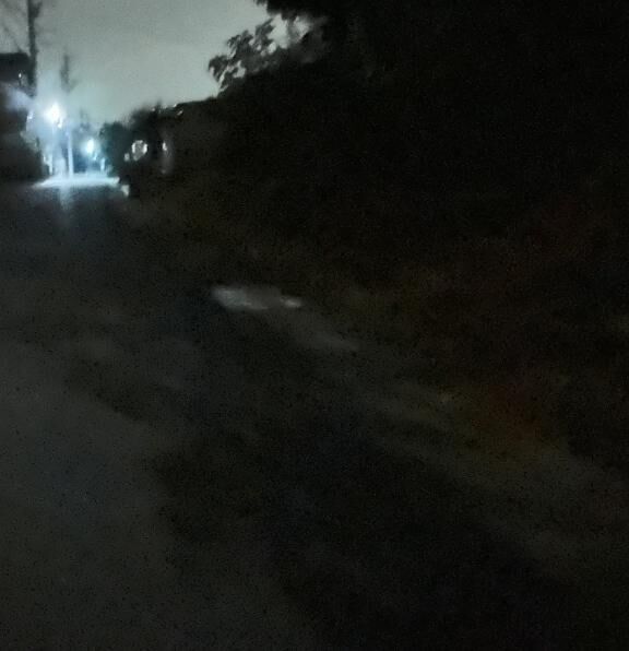 朝は寒いね