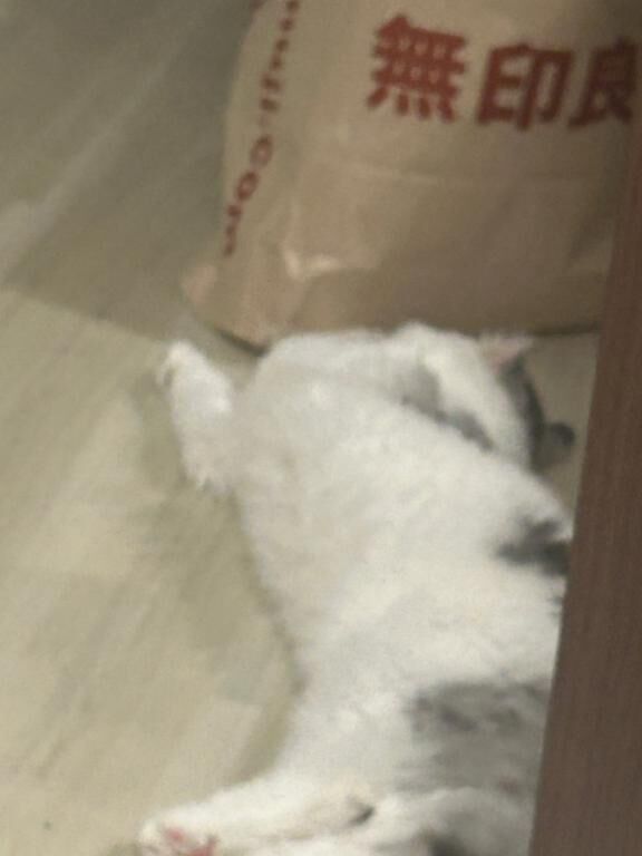 おはよう&#9825;&#9825;