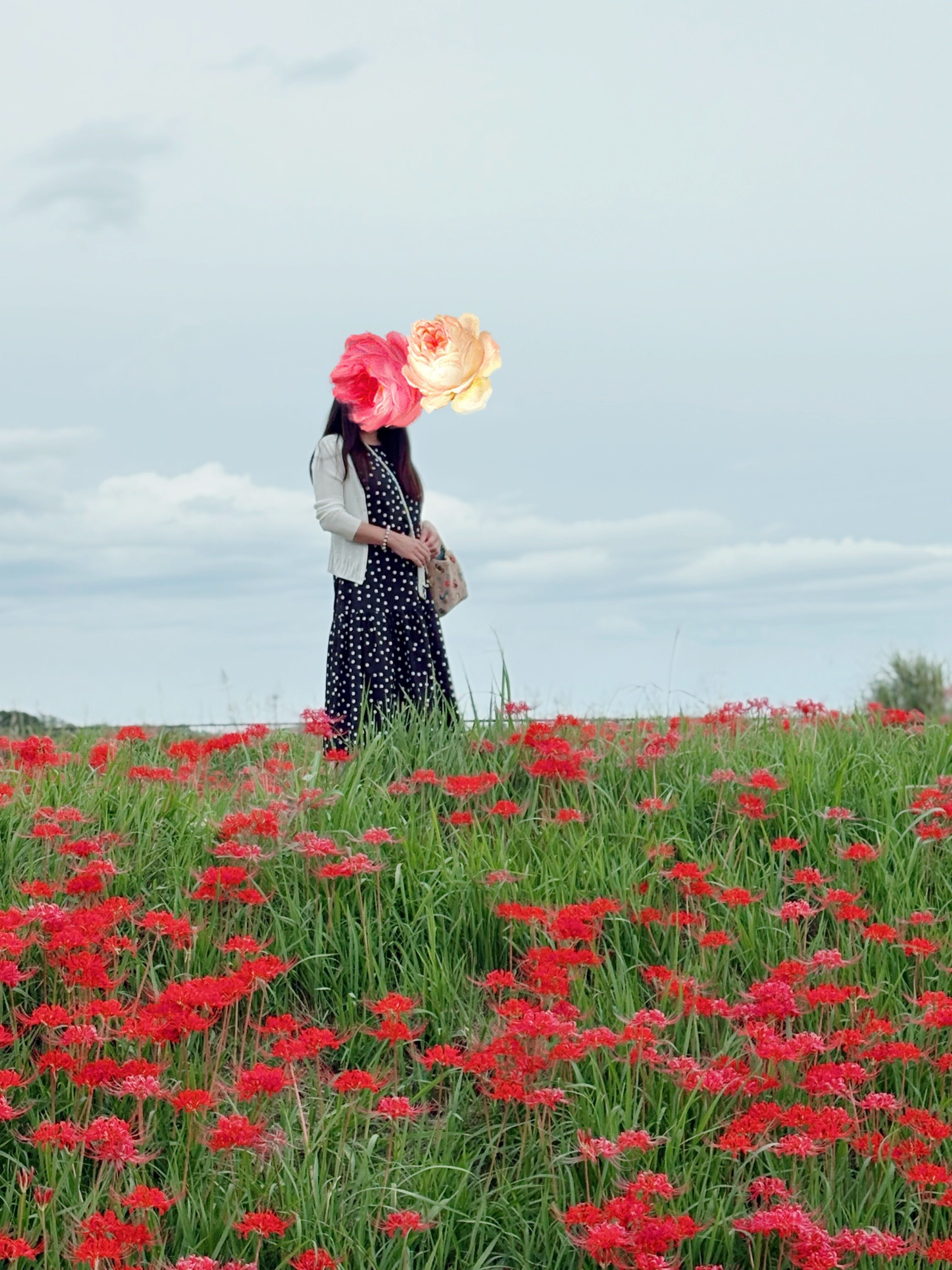 キャンセル出ました&#x301C;