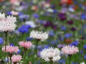 気をつけてね☆