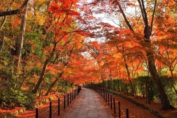 １０月もよろしくお願いします&#129505;