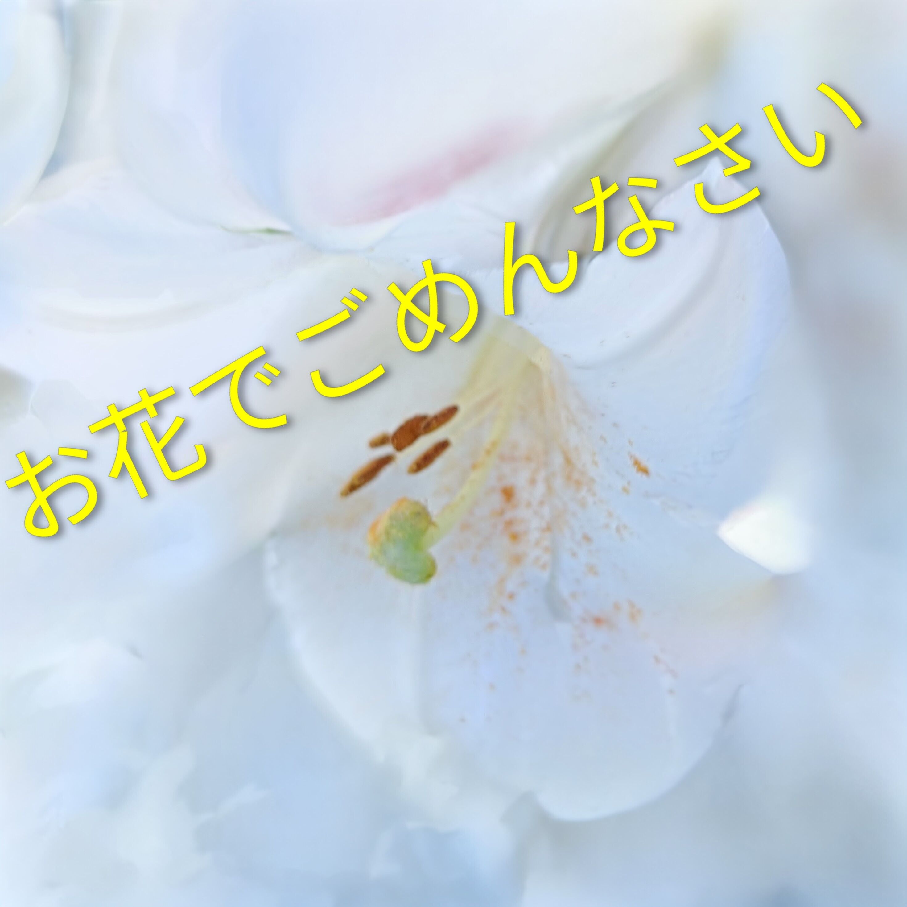お疲れ様です&#128524;