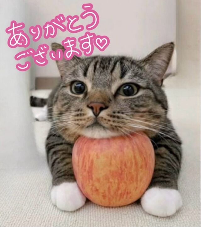 3日(金)の感謝です&#9825;&#9825;(&#9825;´&#9825;` )