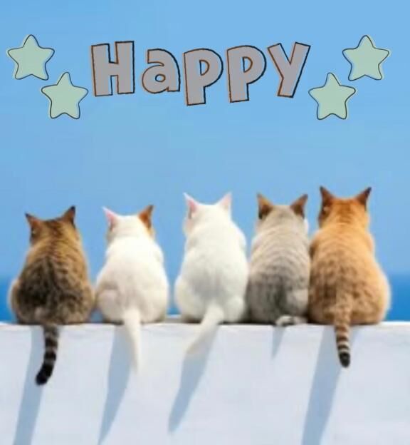 おはようございます☆