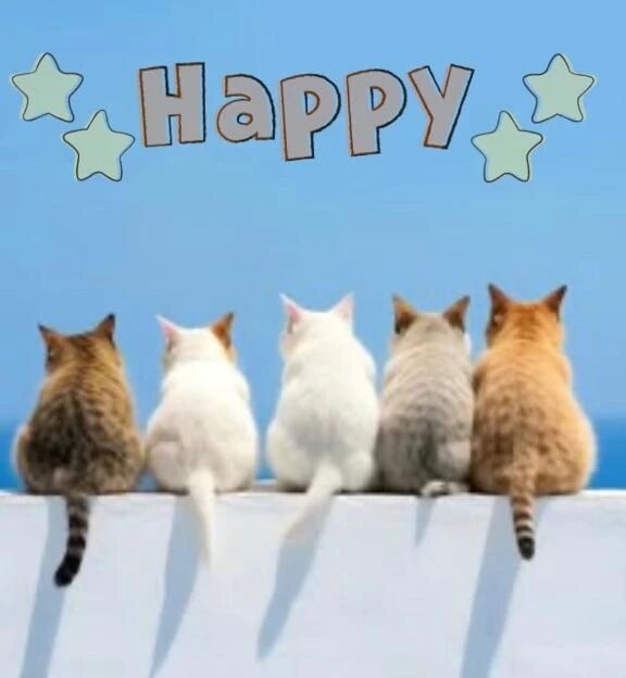 おはようございます☆