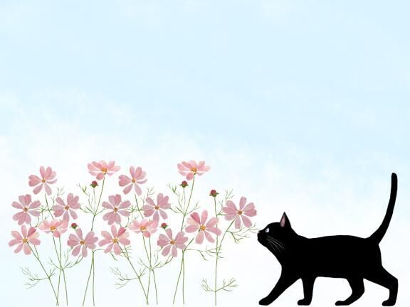 お題と明日♪