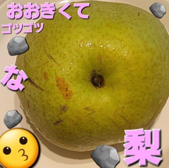 大きなゴツゴツした梨を切った&#x301C;と&#9825;思っていたらなんだか　関ヶ原の合戦にタイムスリップしたりかさんでした。が、、、(´TωT`)なんだか長い日記になり。。。本当ならは西軍、東軍、すべての武将の名前を書き記したい&#9825;りかさんであった。