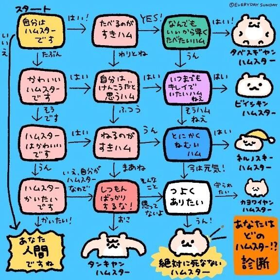 あなたはどの‪ハムスター？！