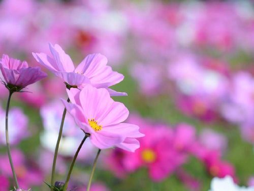 5日(日)　12時　&#9825;様