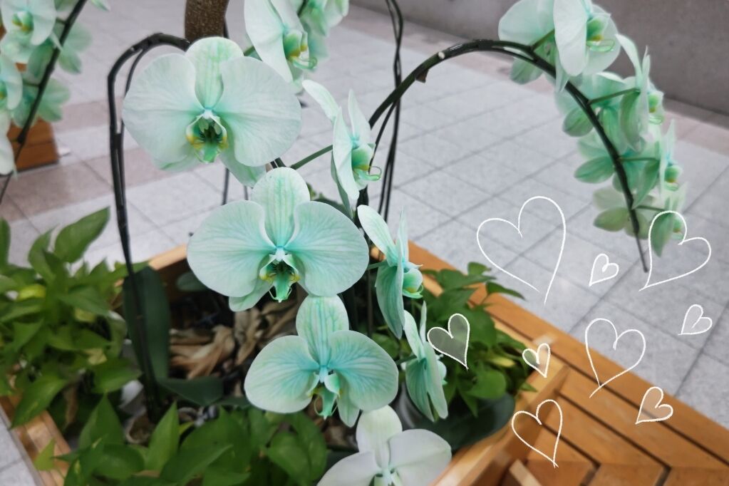 お礼です&#9825;