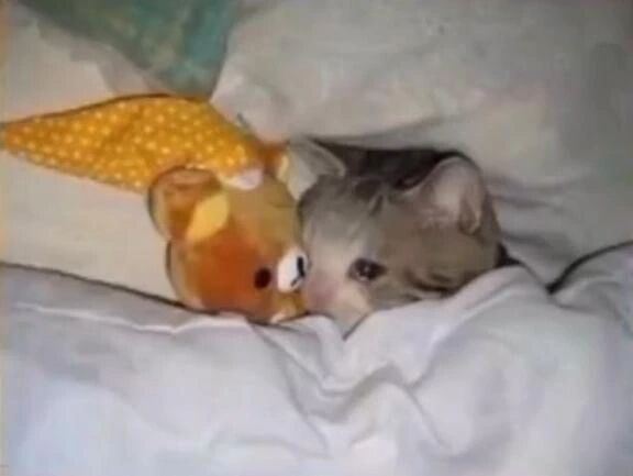 &#65038; &#65038; &#65038; &#65038; &#65038; &#65038; &#65038; &#65038; &#65038; &#65038; &#65038; &#65038; &#65038; &#65038; &#65038; &#65038; &#65038; &#65038; &#65038; &#65038; &#65038; &#65038; &#65038; &#65038; &#65038; &#65038; &#65038; &#65038; &#65038; &#65038; &#65038; &#65038; &#65038; &#65038; &#65038; &#65038; &#65038; &#65038; &#65038; &#65038; &#65038; &#65038; &#65038; &#65038; &#65038; &#65038; &#65038; &#65038; &#65038;