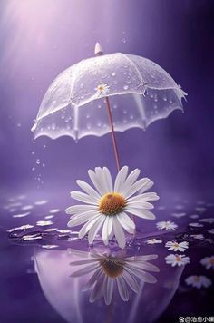 5日(日)　20時　&#9825;様