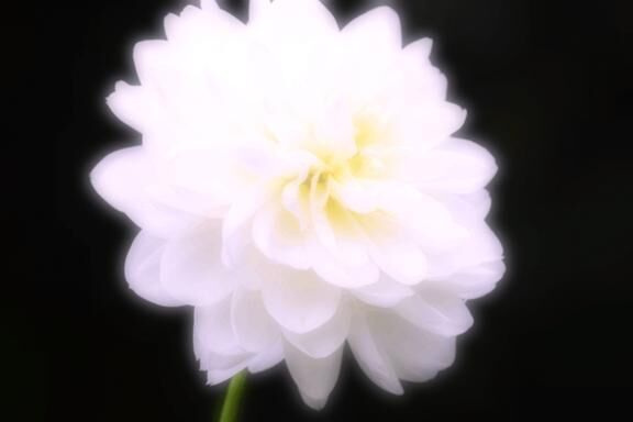 from:おれのシャツ着てくれさん