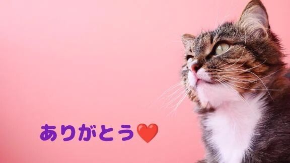遅くなりましたが 昨日のお礼です&#128522;