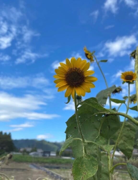 準備