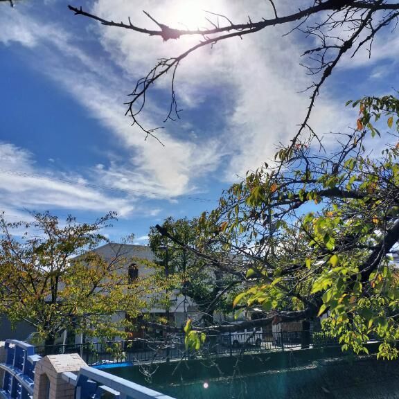 すっかり秋空