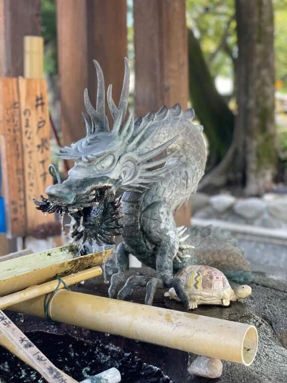 今日は