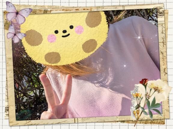 こんにちはー