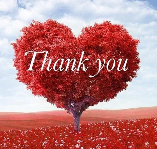 5日のお礼&#128140;