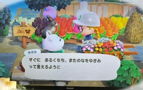急に(⌒ &#860;   ⌒)